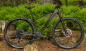 Preview: Mountainbike Cube Elite C:62 ONE 29 Zoll 2023, carbon/black