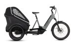 E-Bike Cube Trike Hybrid Family 750 2023, swampgrey/reflex